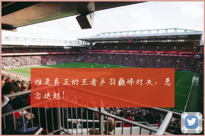 谁是真正的王者乒羽巅峰对决，悬念迭起！