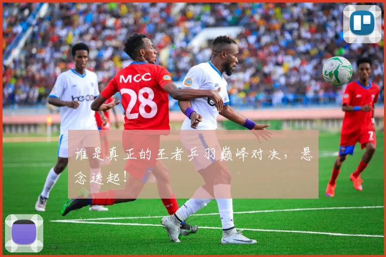谁是真正的王者乒羽巅峰对决，悬念迭起！
