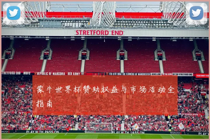 蒙牛世界杯赞助权益与市场活动全指南